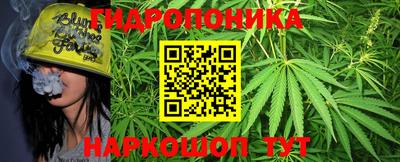 мяу мяу мука Новозыбков