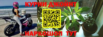 мяу мяу мука Новозыбков