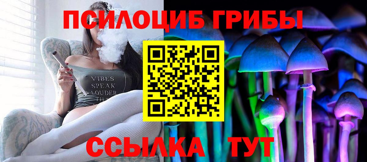 Советск  Псилоцибиновые грибы ЛСД  Вход с VPN  Псилоцибиновые грибы Psilocybine cubensis 